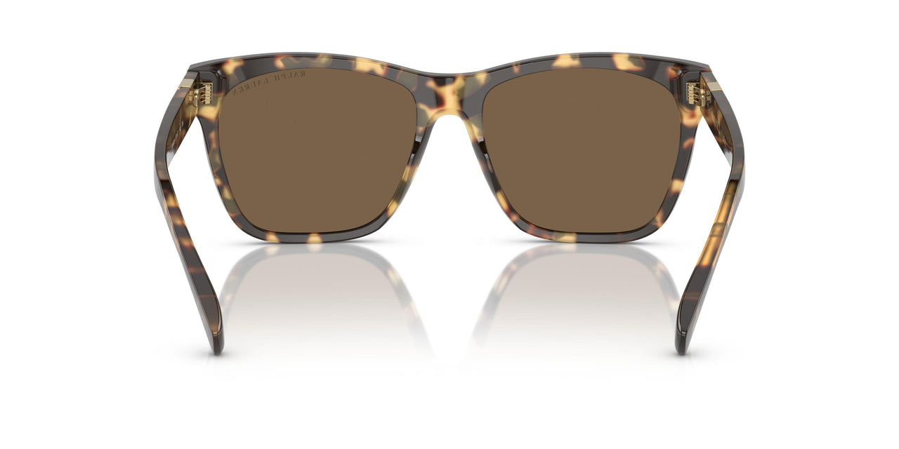 500473 - Tortoise - Brown