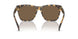 500473 - Tortoise - Brown
