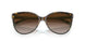 81343B - Havana - Brown Gradient