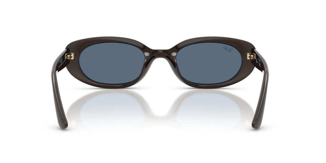 686880 - Brown - Dark Blue