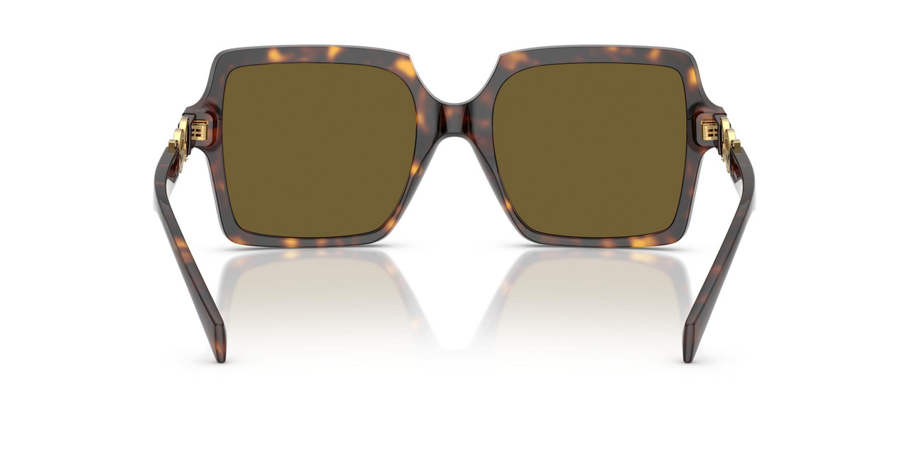 108/73 - Tortoise - Dark Brown