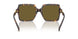 108/73 - Tortoise - Dark Brown