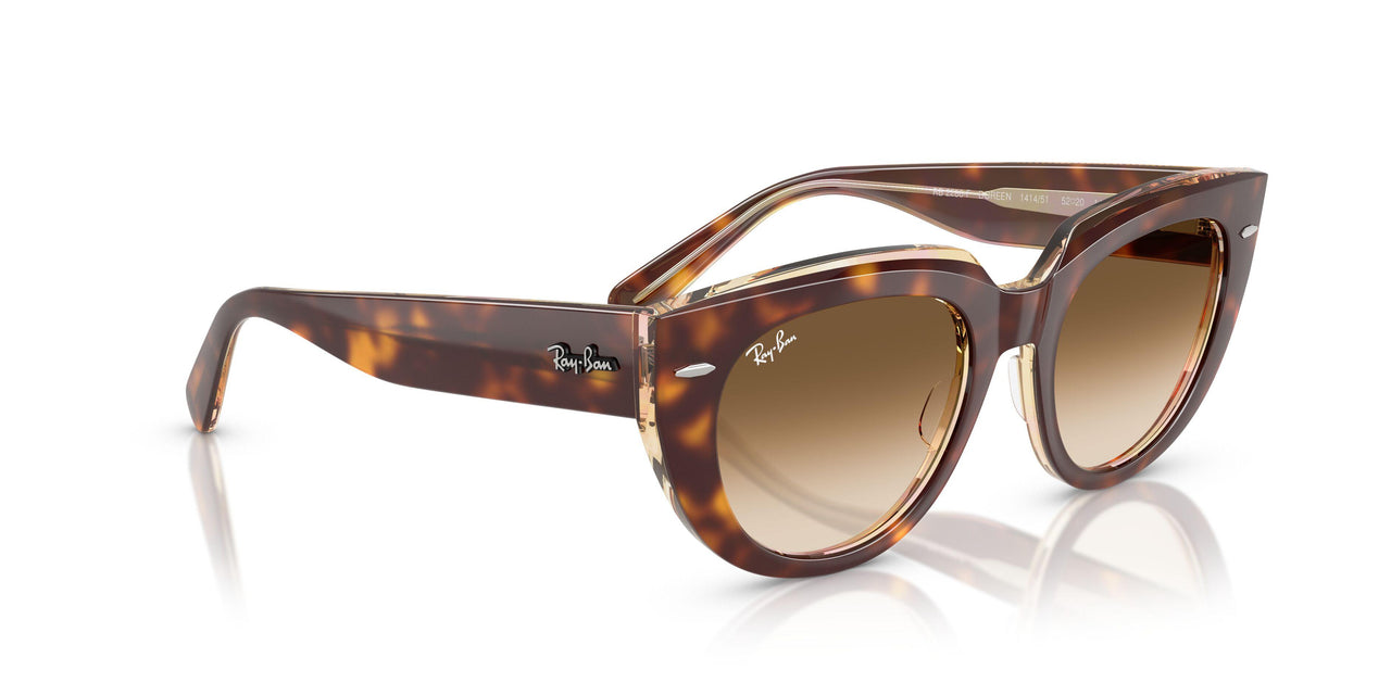 141451 - Tortoise - Clear Gradient Brown