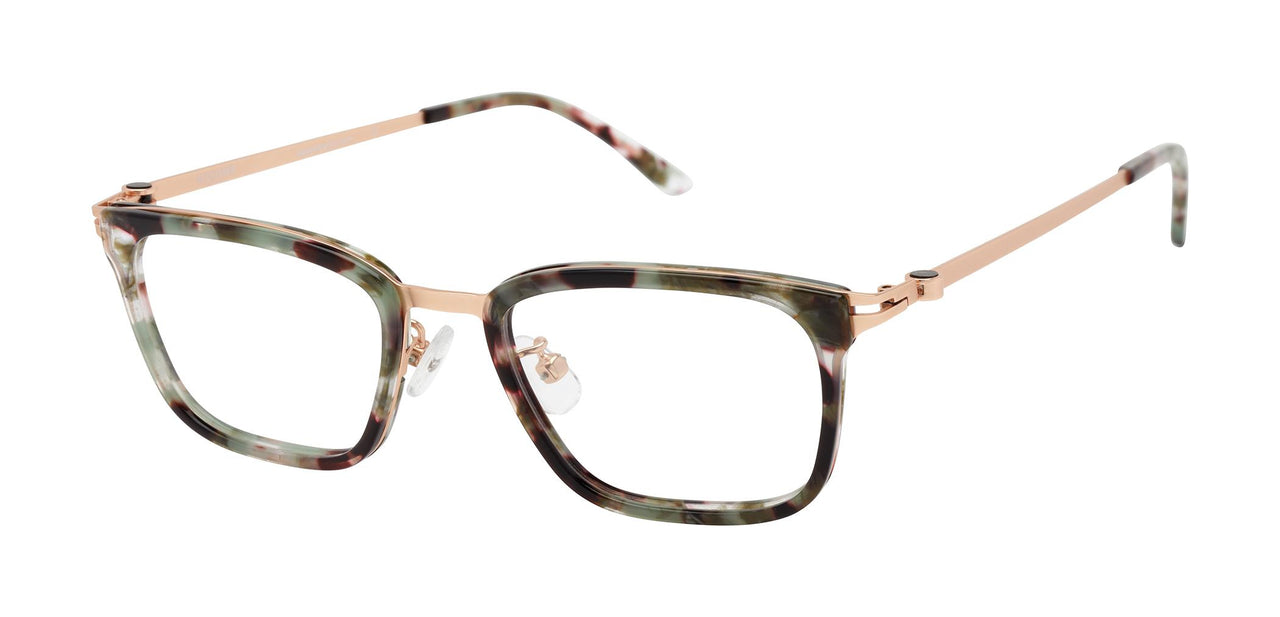 Alexander HALLE Eyeglasses