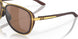 412922 - Brown - Prizm Tungsten Polarized