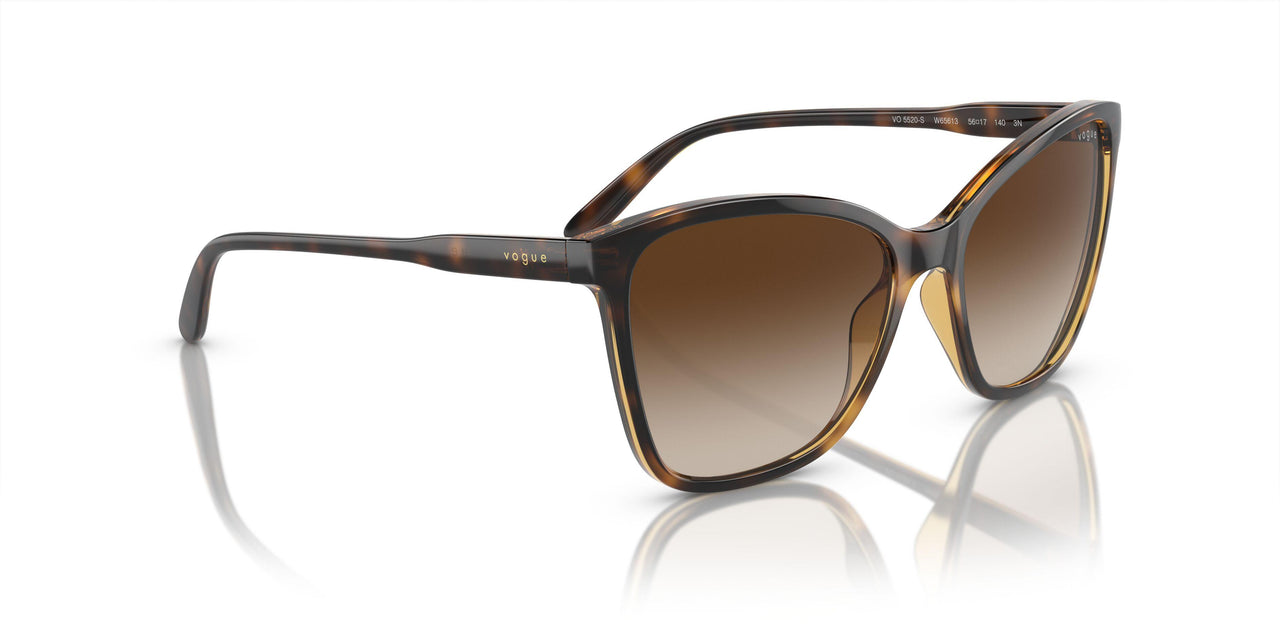 W65613 - Brown - Brown Gradient