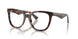 3002 - Brown