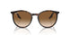 902/51 - Tortoise - Light Brown