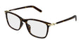 006 - Havana/Gold - Transparent / 57