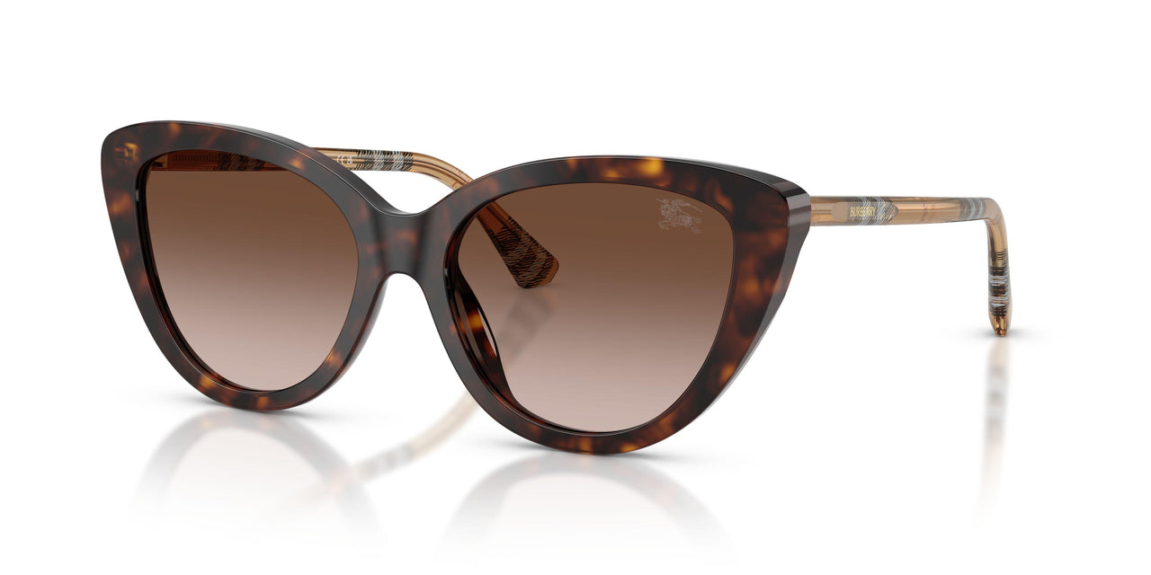 421613 - Brown - Brown Gradient
