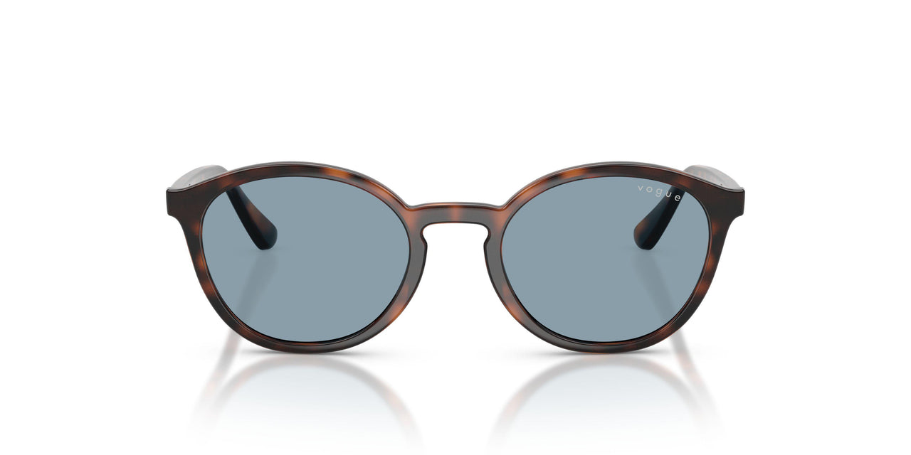 271880 - Brown - Light Blue