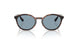 271880 - Brown - Light Blue