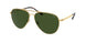 Polo 3148 Sunglasses