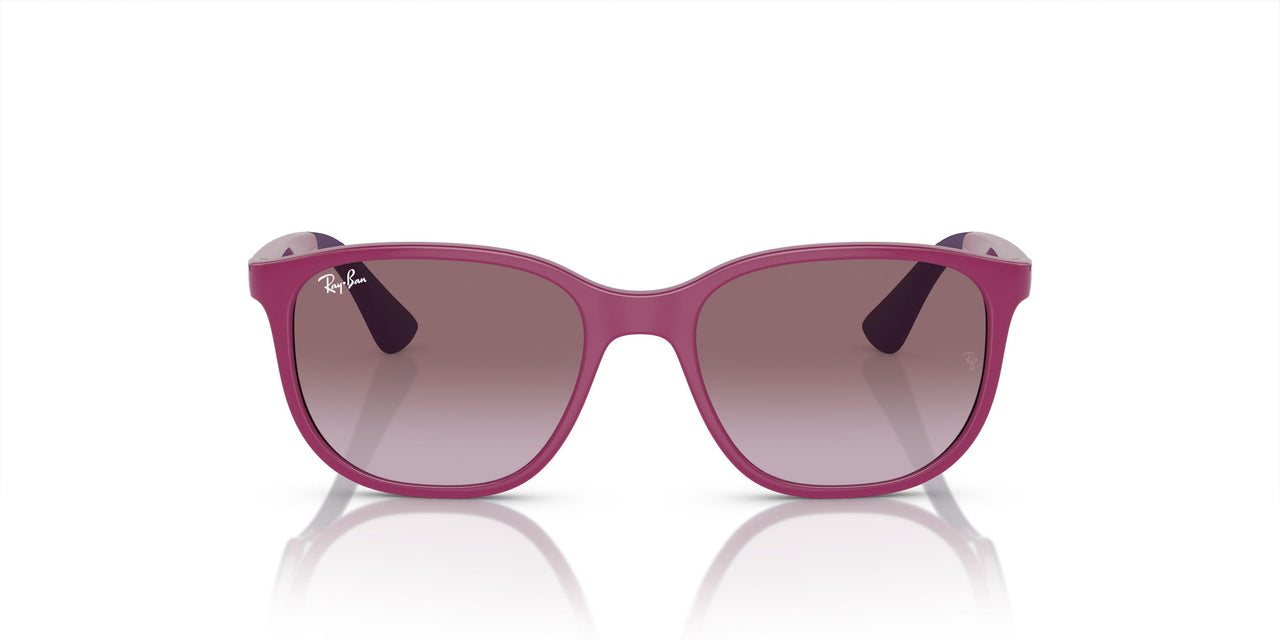 71498H - Fuchsia On Violet - Violet