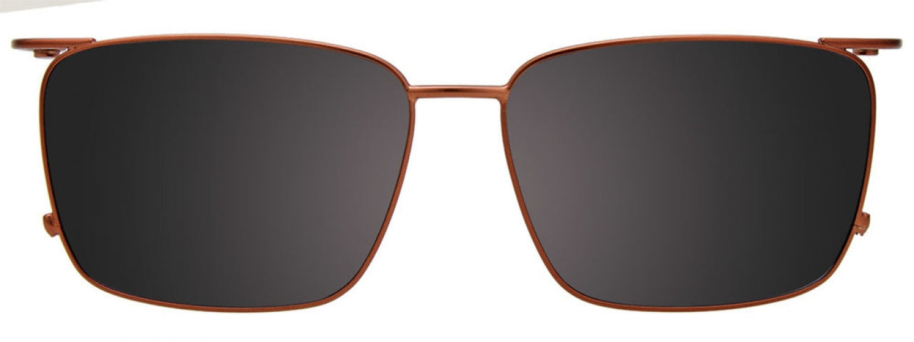 10 - Tortoise & Light Brown