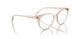 2884 - Brown