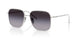 1BC90A - Silver - Grey Gradient