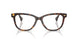 5003 - Tortoise