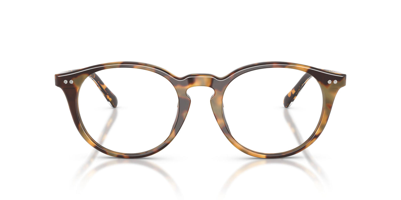 6339 - Tortoise