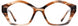 Cinzia CIN5196 Eyeglasses