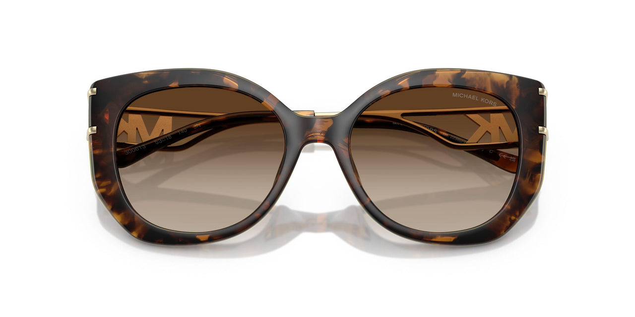 300613 - Tortoise - Brown Gradient