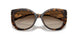 300613 - Tortoise - Brown Gradient