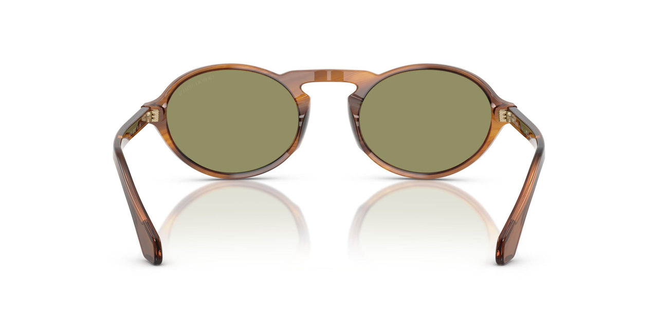 616314 - Tortoise - Green