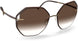 6030 - Dark Brown / Gold - Classic Brown Gradient