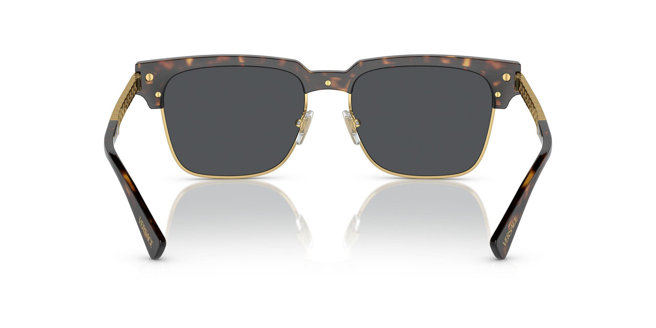 108/87 - Tortoise - Dark Grey