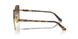 507813 - Brown - Gradient Brown