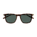 002 - Havana/Gold - Green