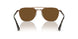 114857 - Brown - Polar Brown