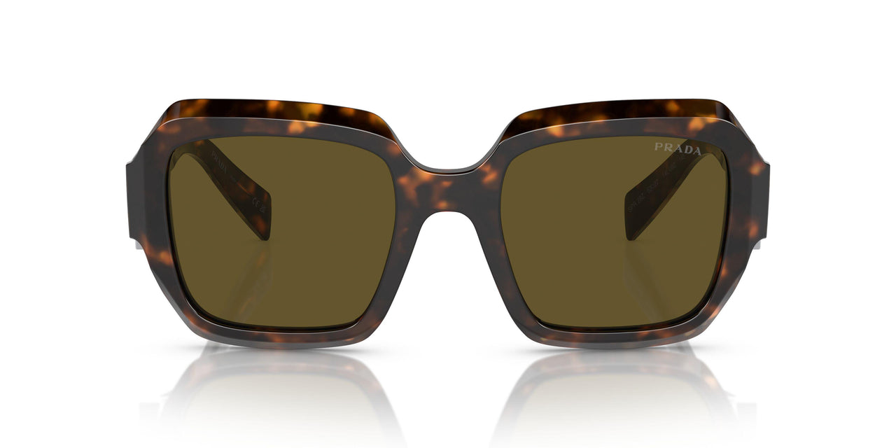 14L09Z - Green - Dark Brown