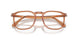 1213 - Brown - Clear