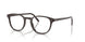 1772 - Brown