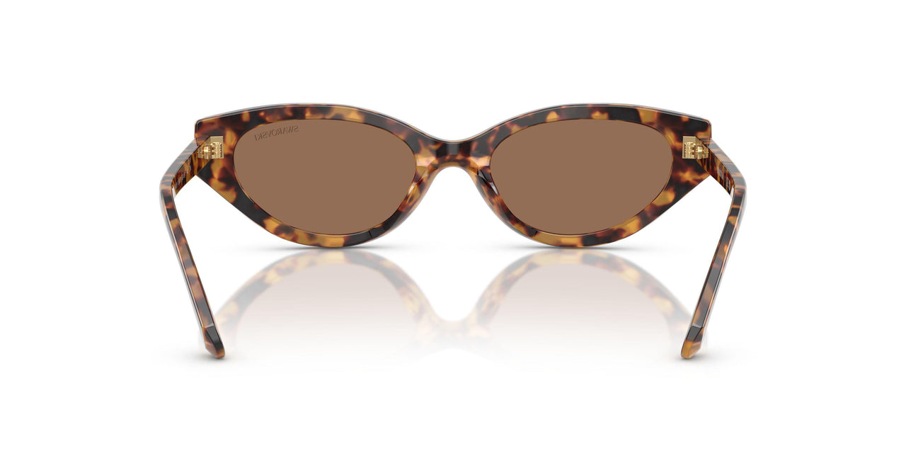 104073 - Tortoise - Dark Brown