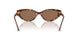 104073 - Tortoise - Dark Brown