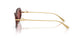 344469 - Tortoise - Dark Violet