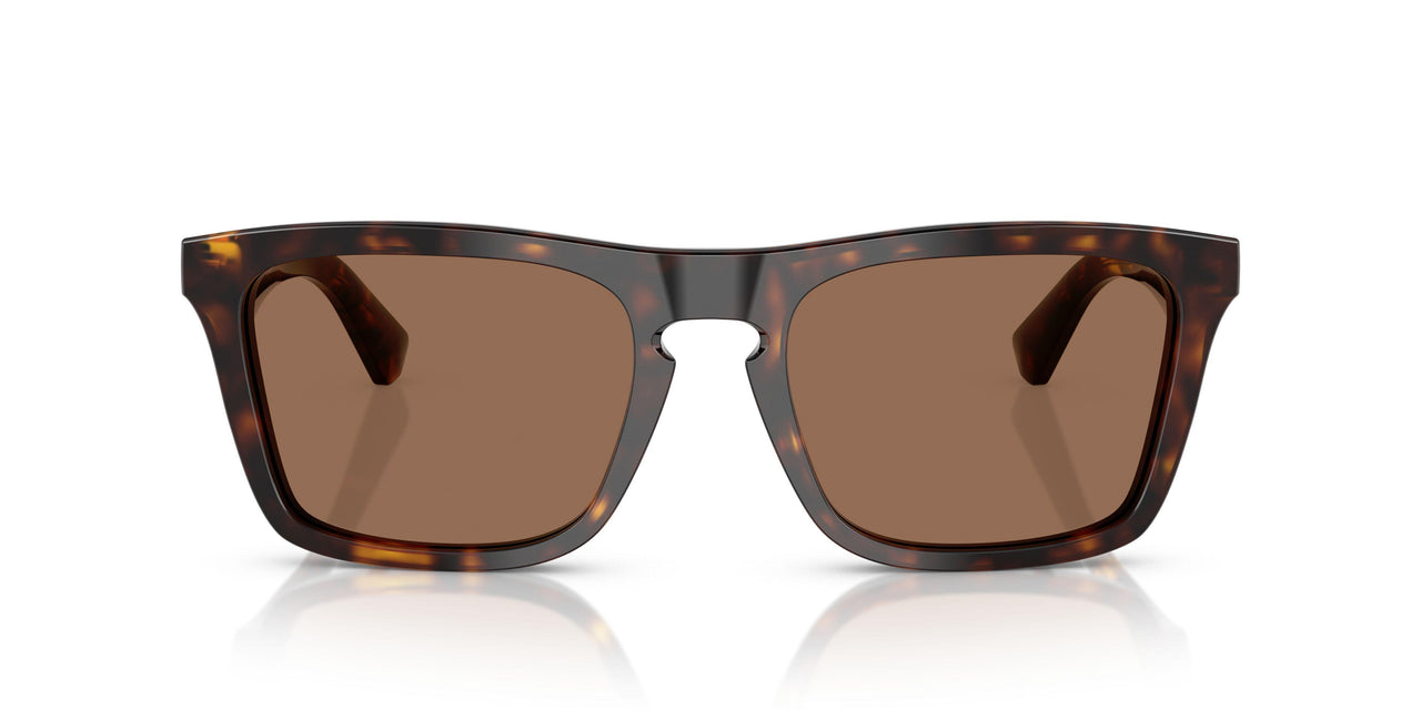 300273 - Brown - Dark Brown