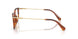1091 - Brown