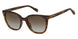 Fossil 3103 Sunglasses