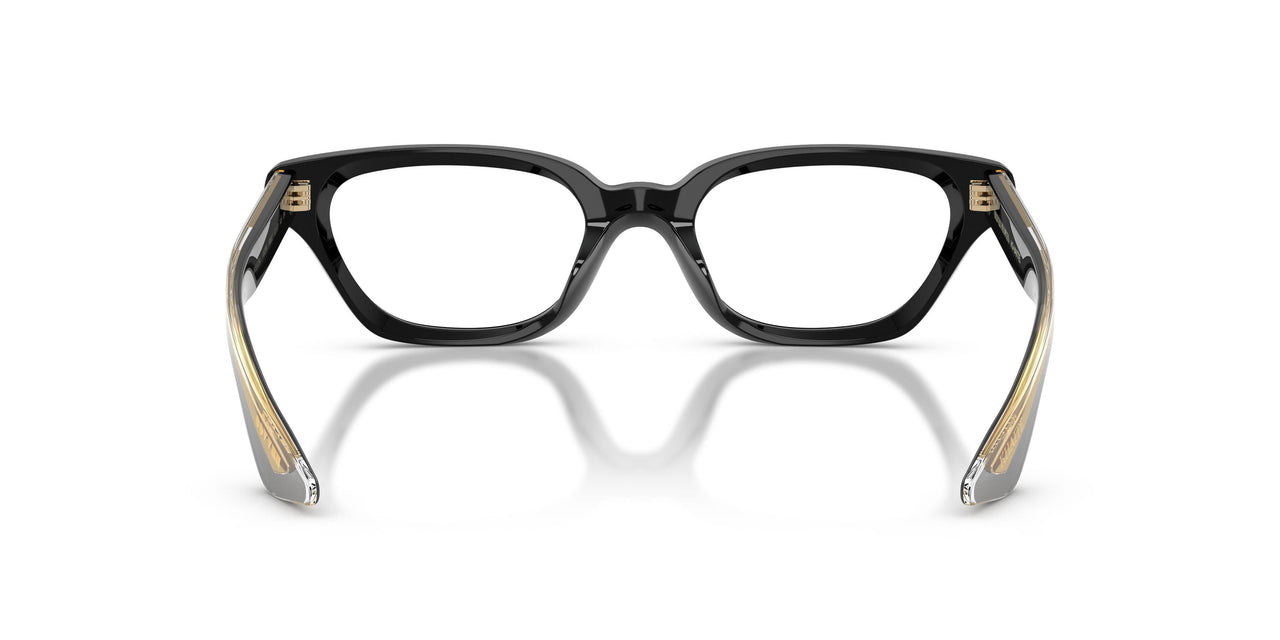 1492SB - Black - Clear Blue-violet Light Filter