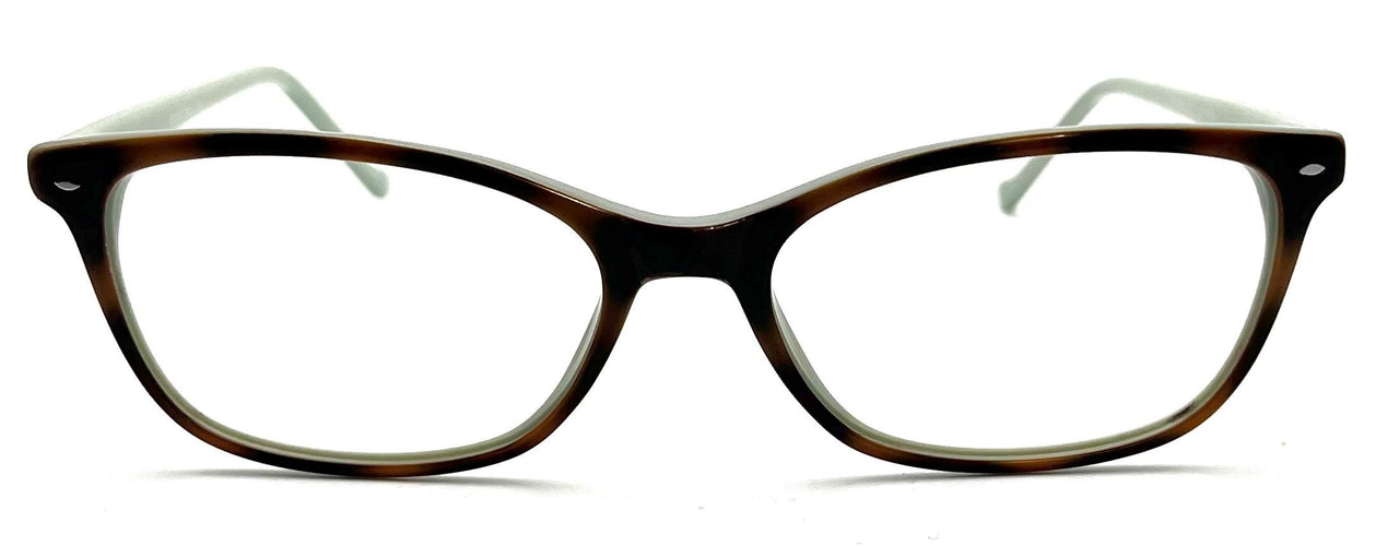 TT - Tortoise Aqua