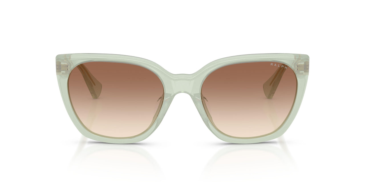 627813 - Green - Light Brown Gradient