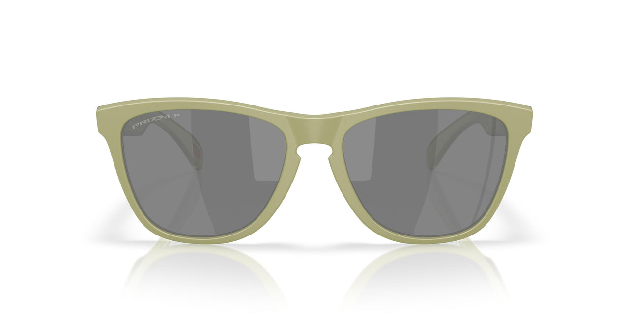9245E9 - Green - Prizm Black Polarized