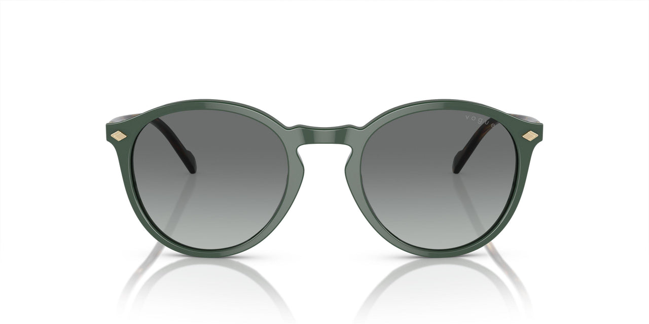 309211 - Green - Grey Gradient