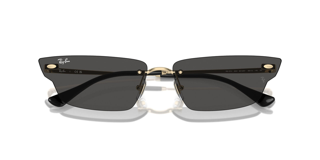 921387 - Gold - Dark Grey