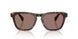 100953 - Tortoise - Sierra