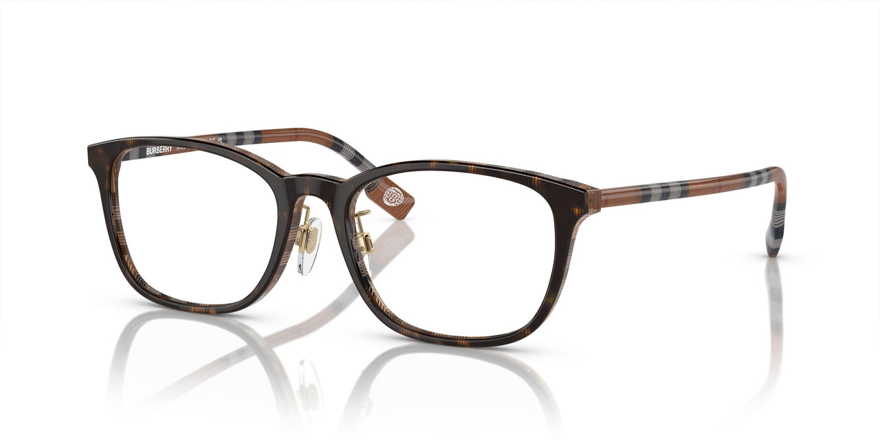 4102 - Tortoise
