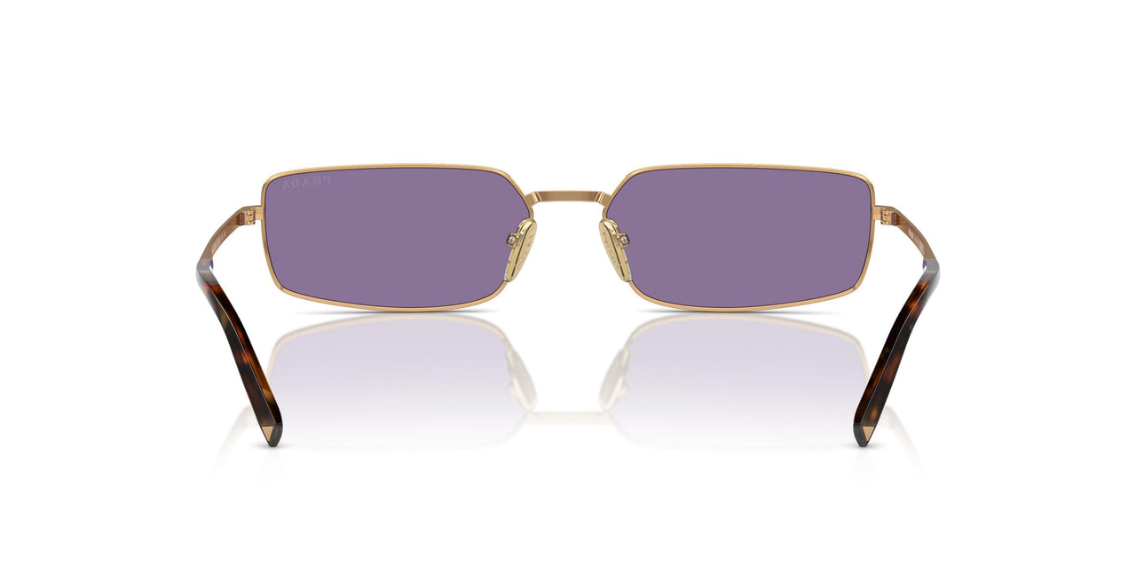 7OE01O - Brown - Violet